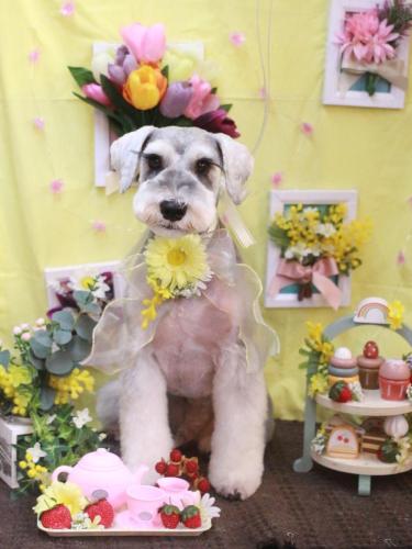 20230304りくくん